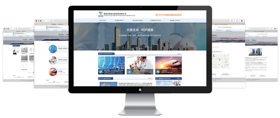 金百瑞科技助力國藥控股集團官網成功升級，彰顯武漢企業網站建設實力