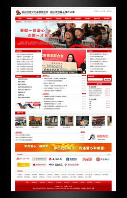武漢市青少年發展基金會 數字化公益的典范